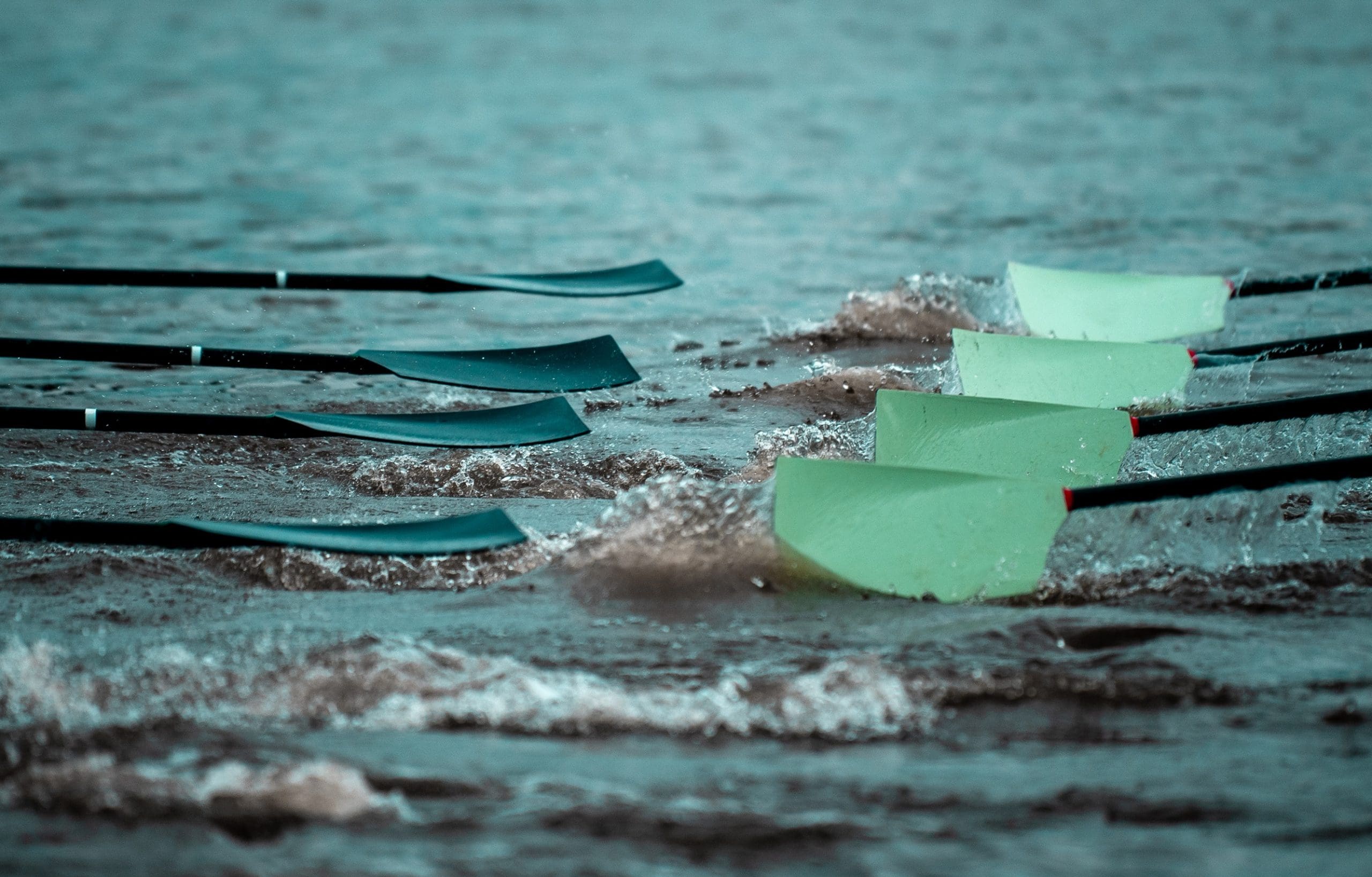Dark blue and light blue blades